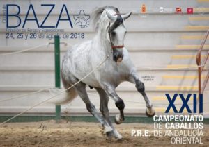 xiii Campeonato de  caballos PRE