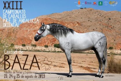 feriaal del caballo 2019 xxiii campeonato de caballos p.r.e.